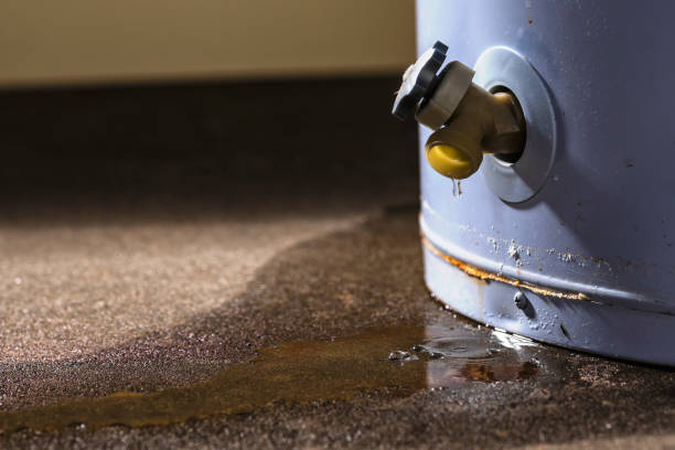 Best Water damage restoration near me  in Quincy, WA