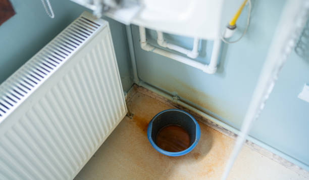 Best Professional water damage repair  in Quincy, WA